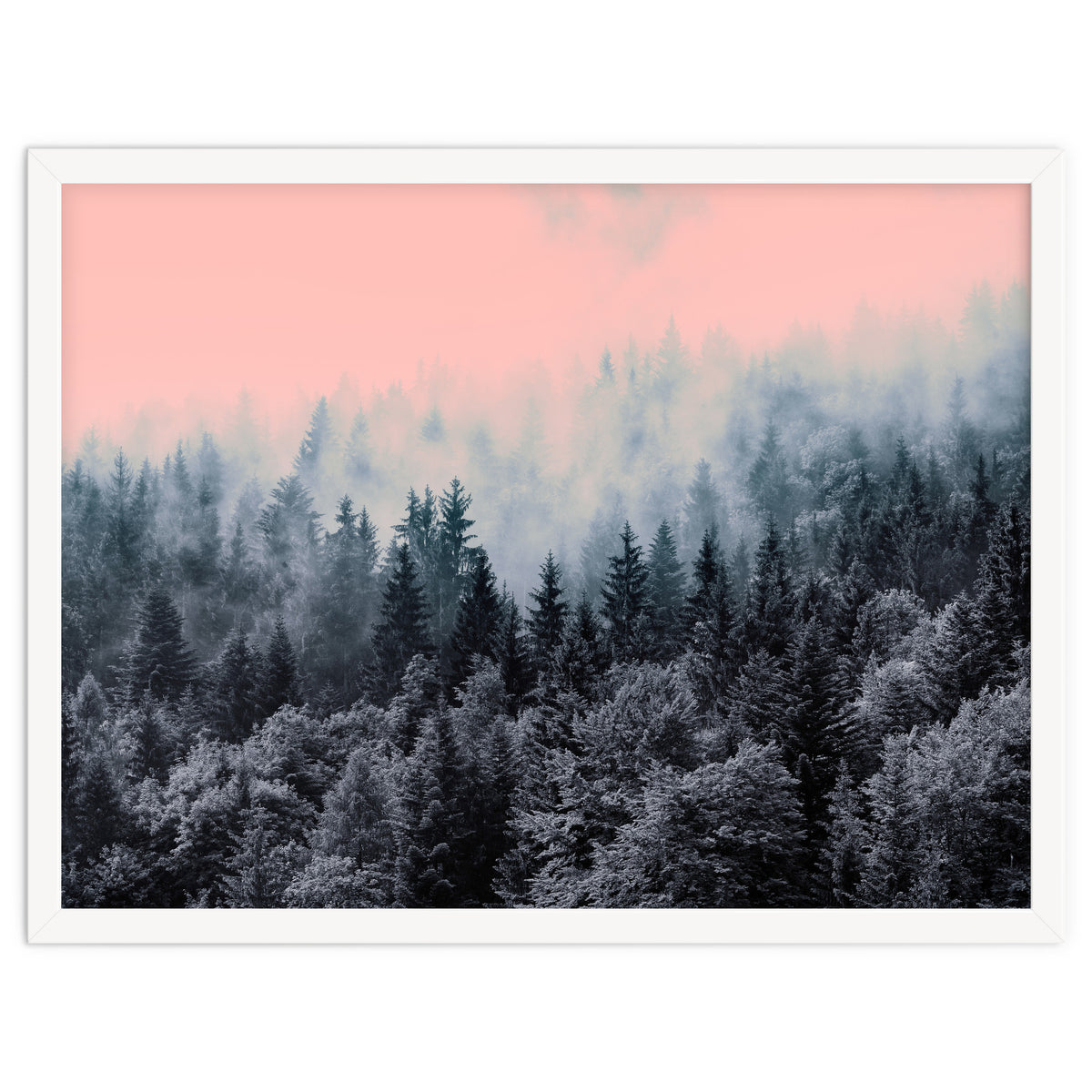 Forest in gray and pink