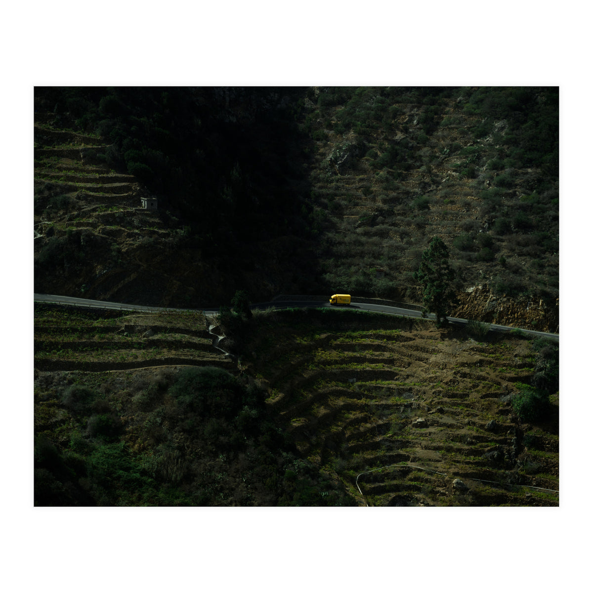 Deliveries (Print Only)