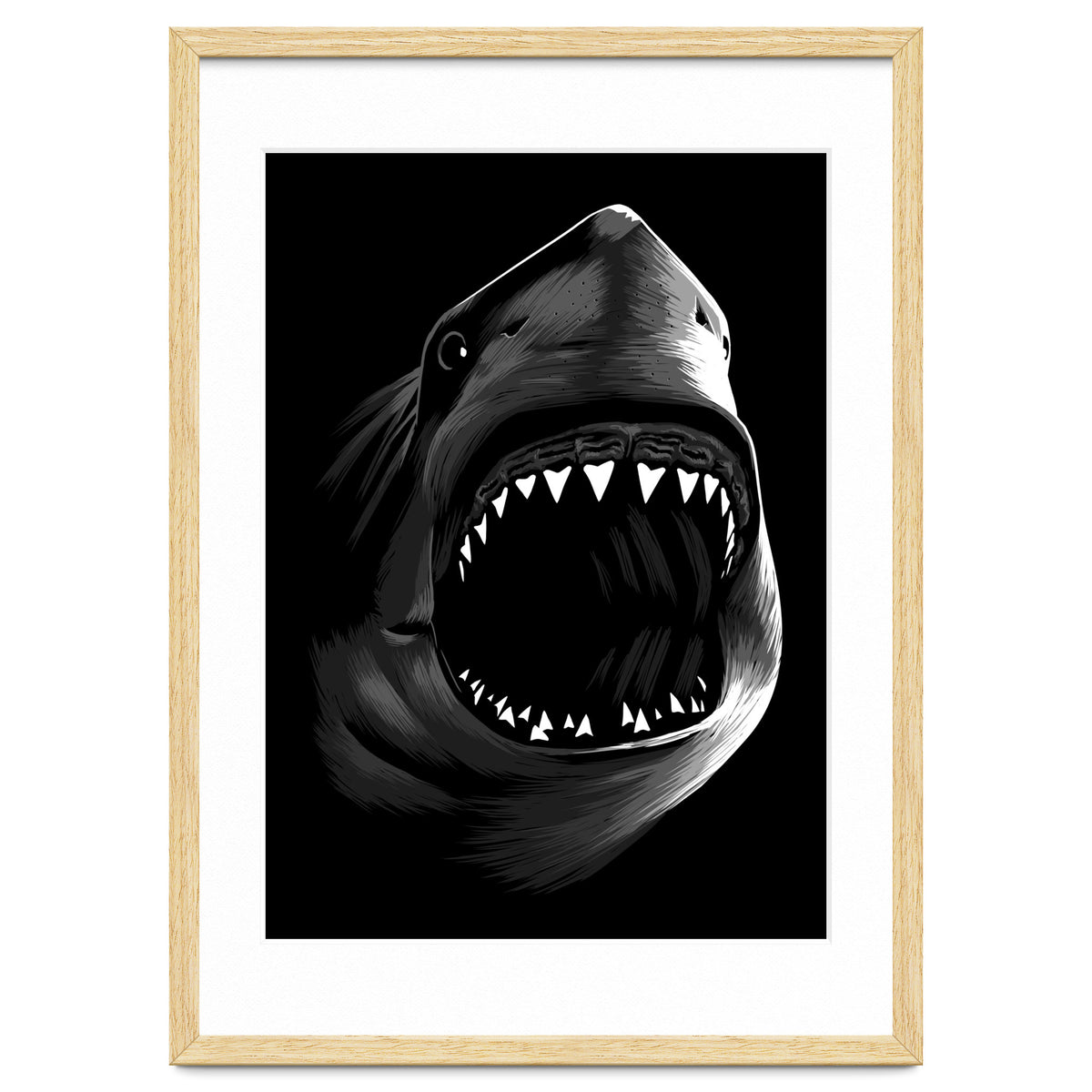 Megalodon
