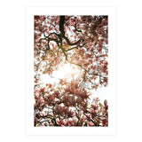 Magnolia tree (Print Only) thumbnail