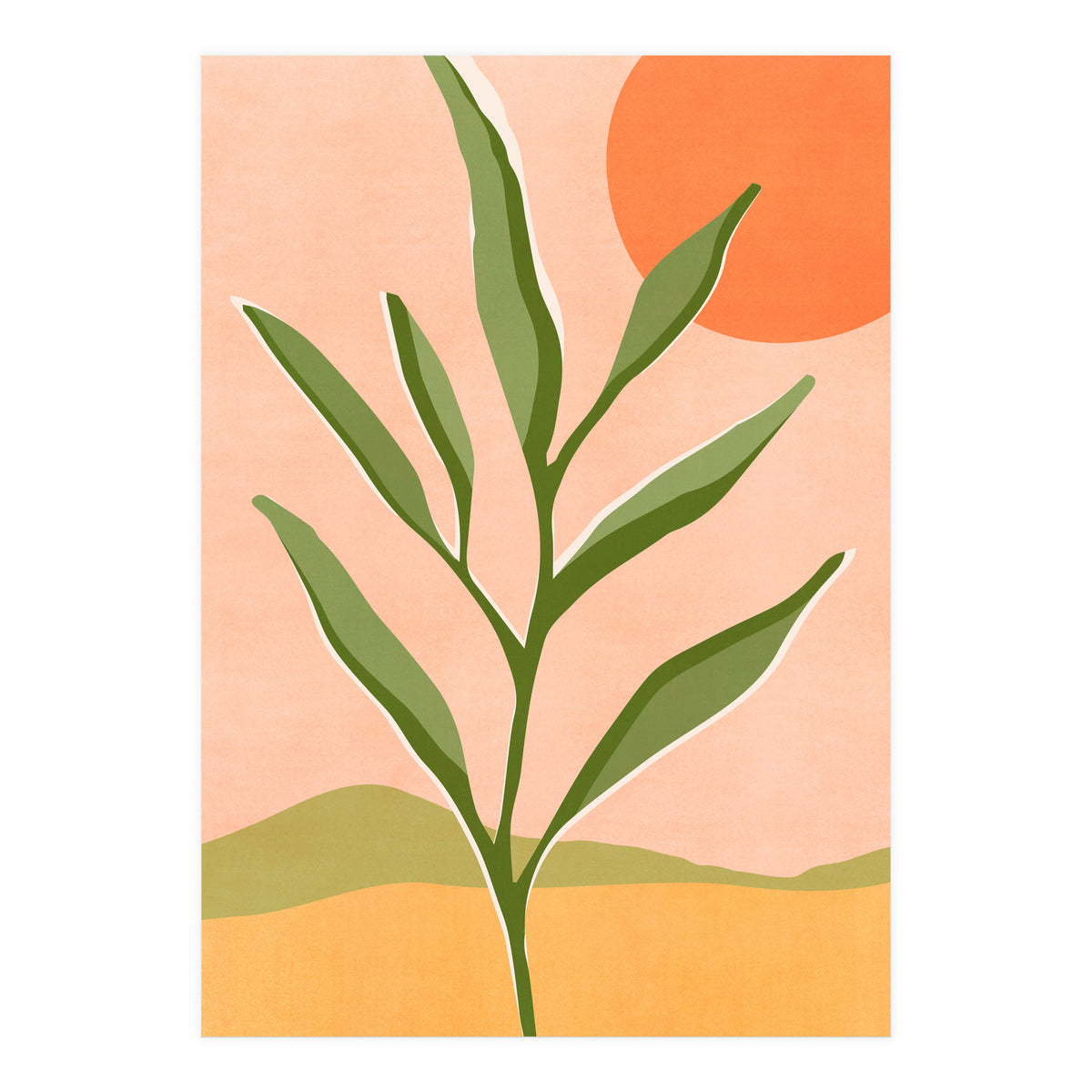 The Sun and The Succulent (Print Only)