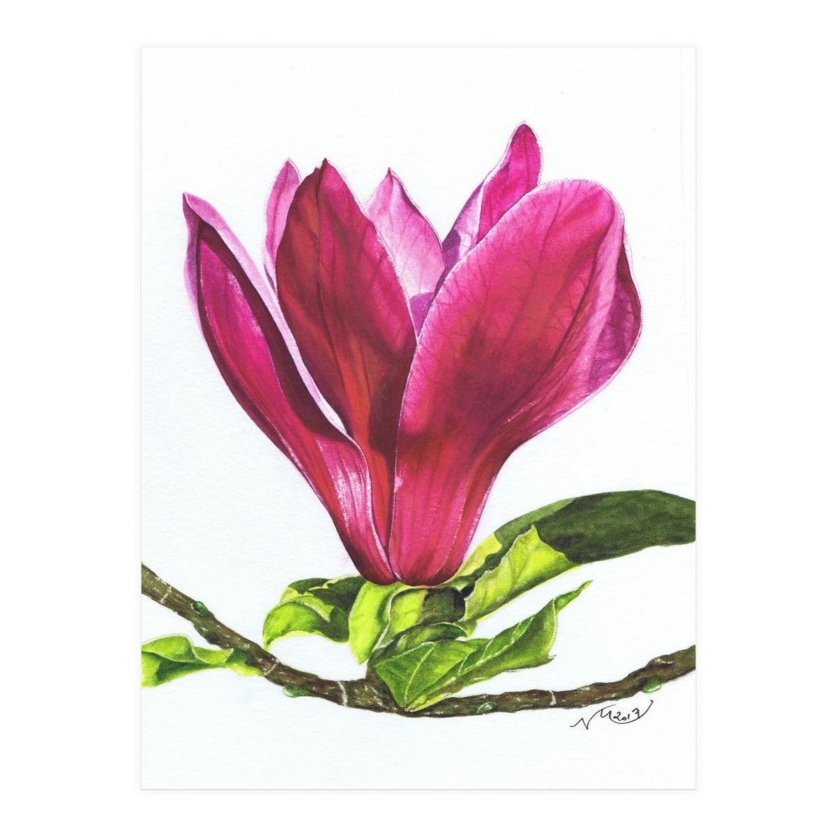 Single Magnolia (Print Only)