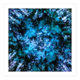 Blue Burst (Print Only) thumbnail