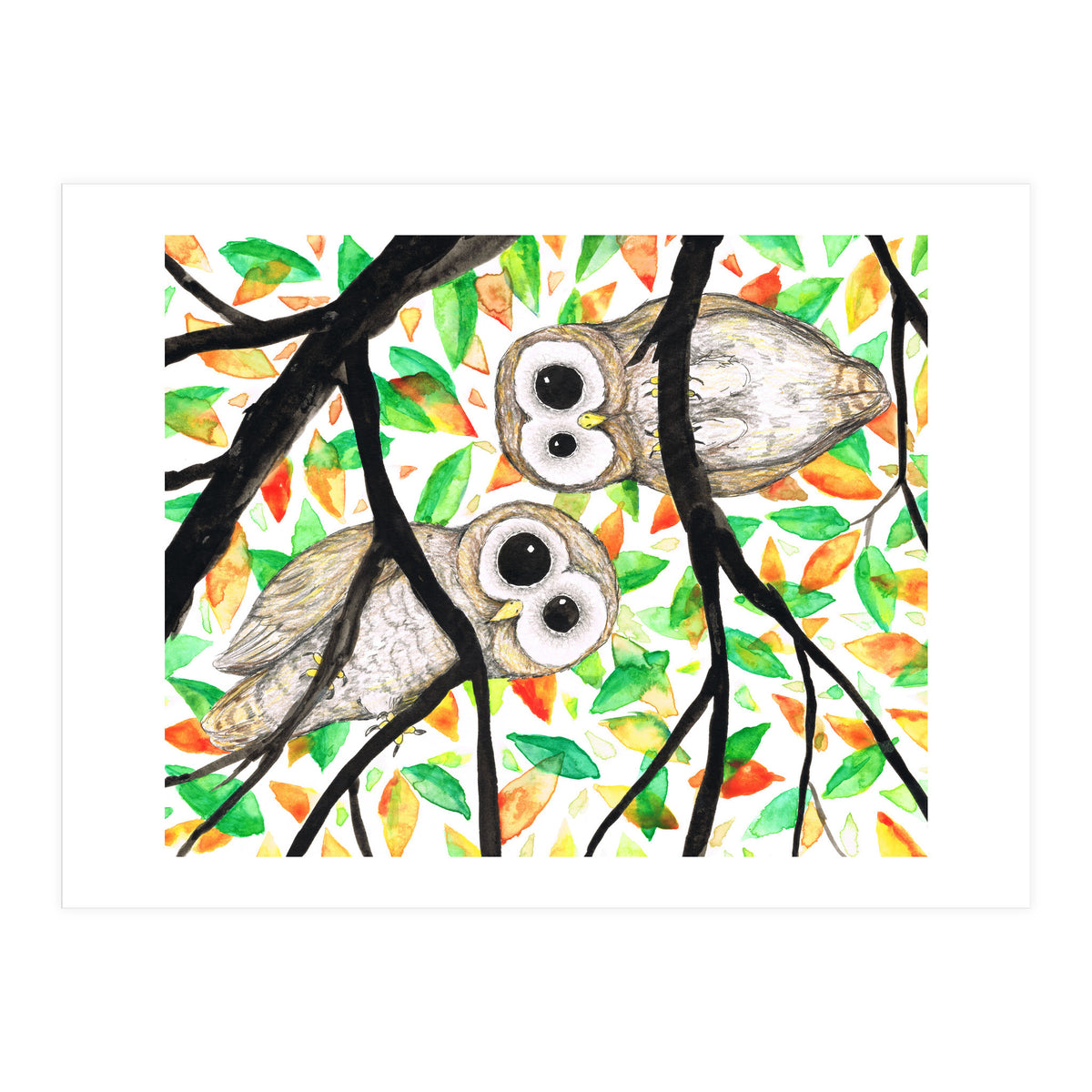 Two curious owls (Print Only)