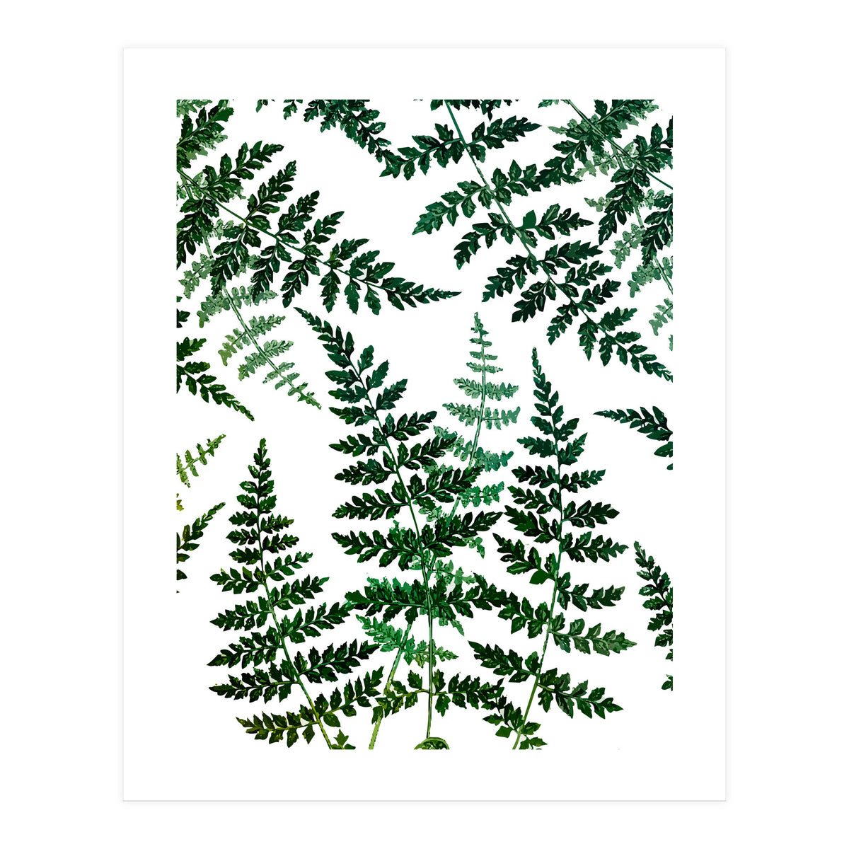 Botanical Bliss (Print Only)