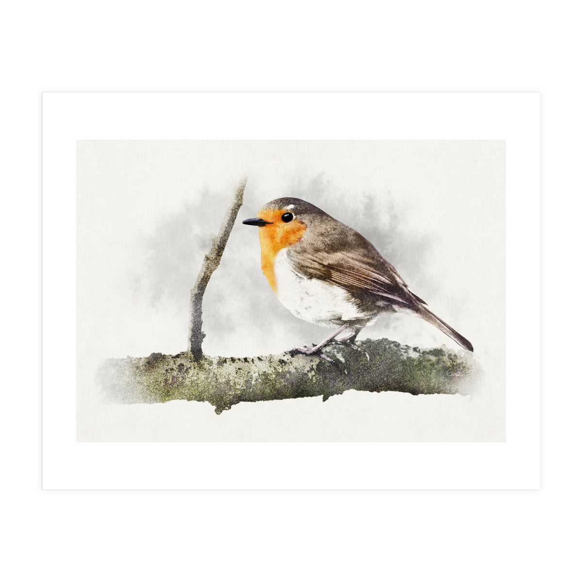 Robin (Print Only)