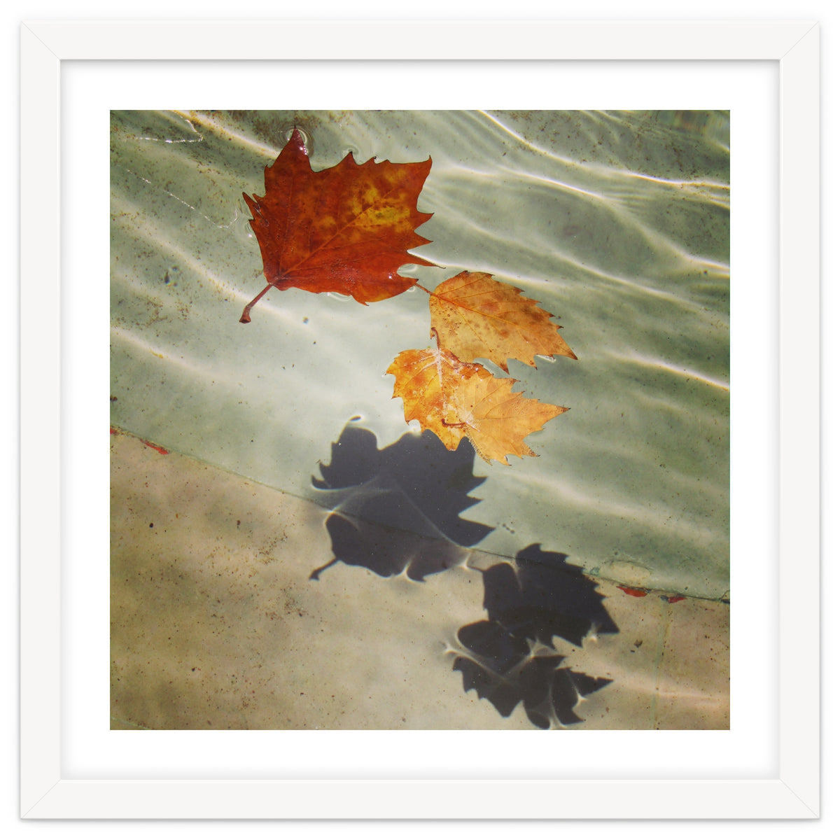 Floating leaves