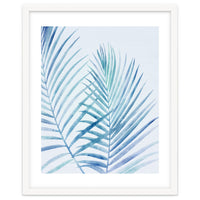 Coastal Palm Fronds