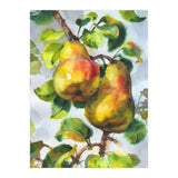 Pears (Print Only) thumbnail
