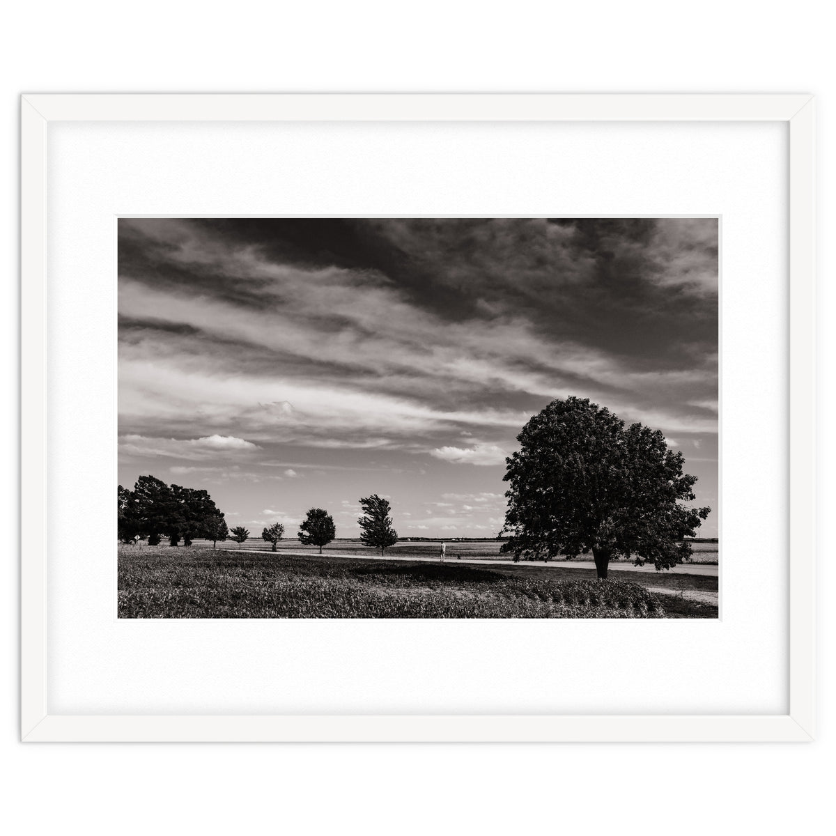 Country Road, Illinois