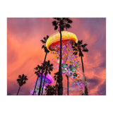 Electric Jellyfish in Palm Trees  (Print Only) thumbnail