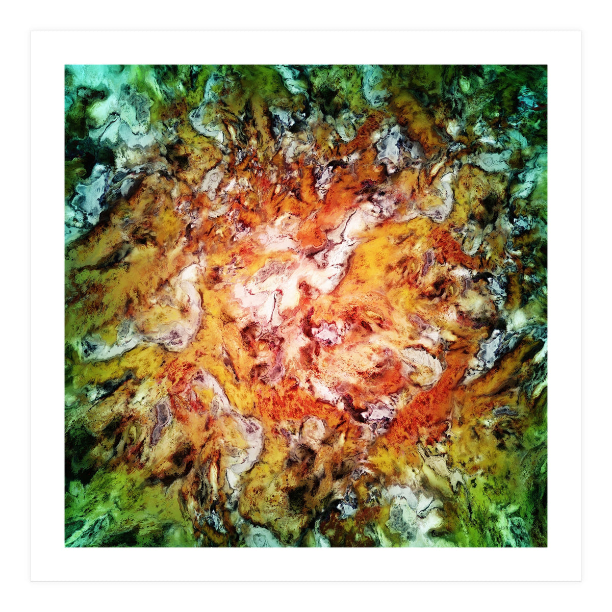 The Natural Light (Print Only)