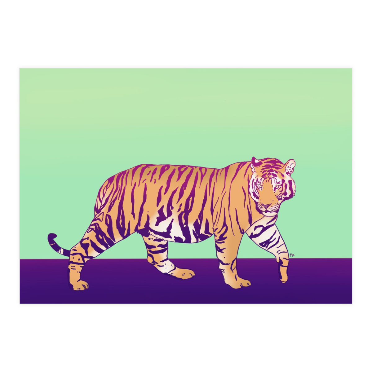 Tiger Under The Sun (Print Only)