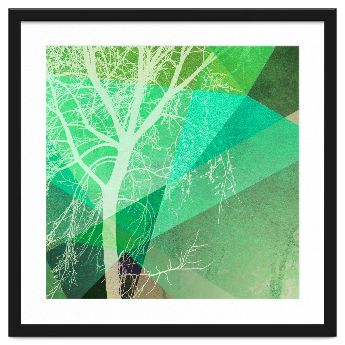 P22-B3 Trees And Triangles