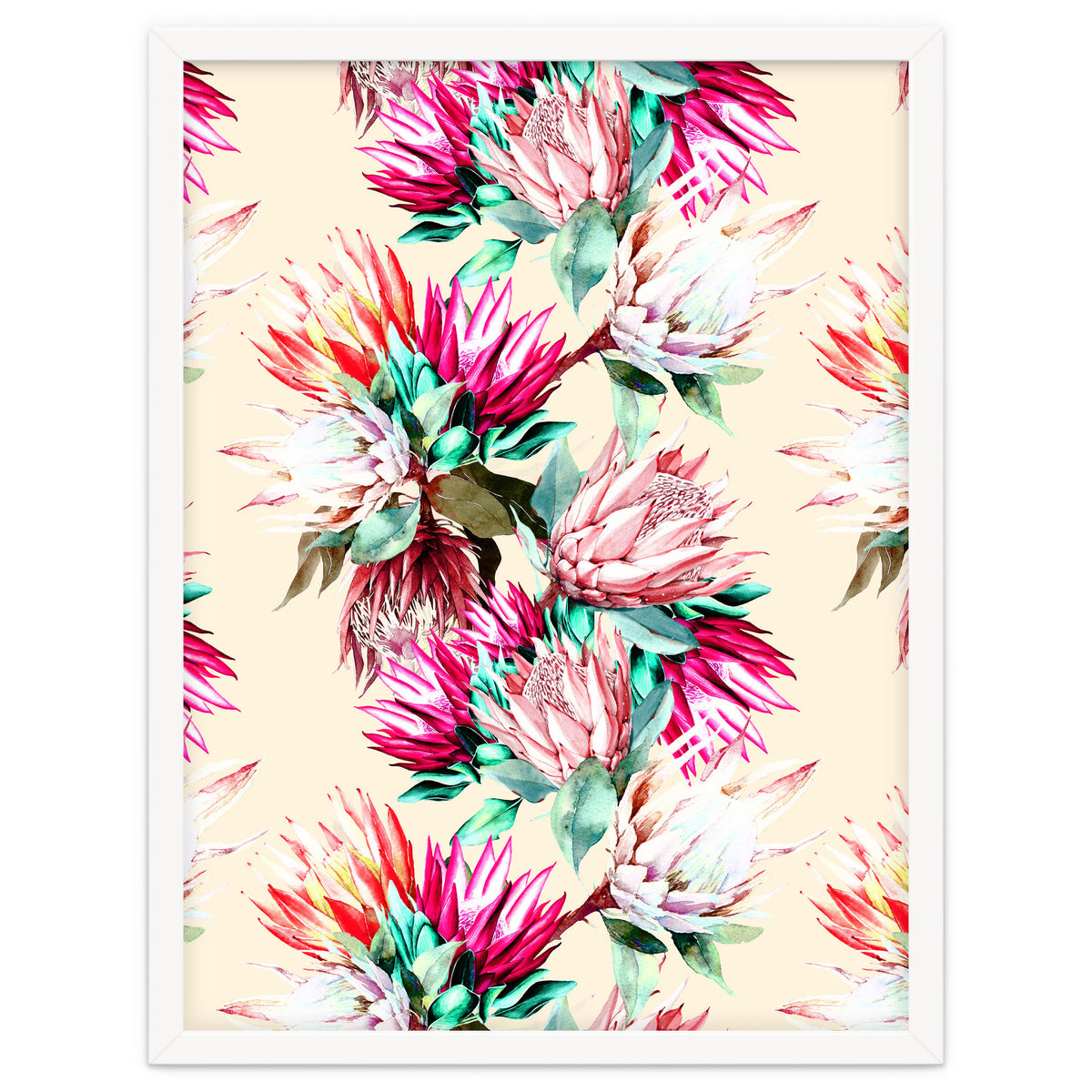 King proteas bloom II