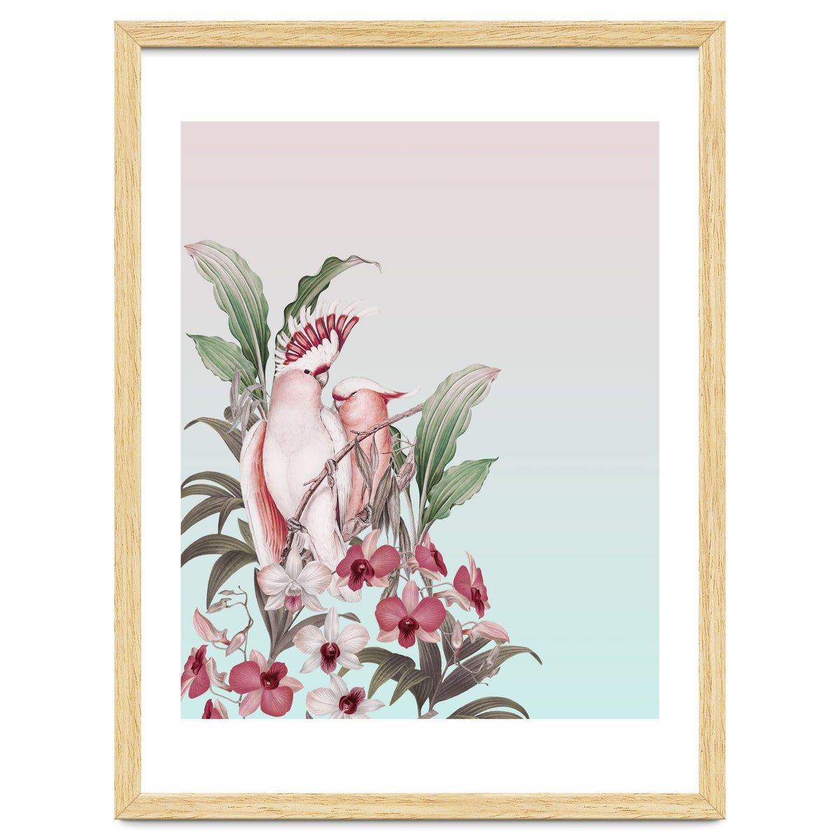 Pastel Cockatoos Paradise