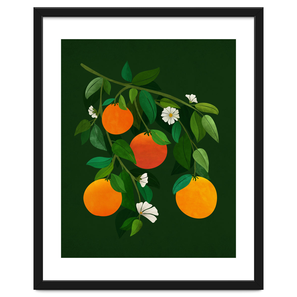 Oranges and Blossoms