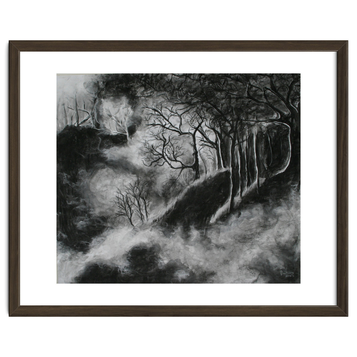 Black and White Forest in Clouds