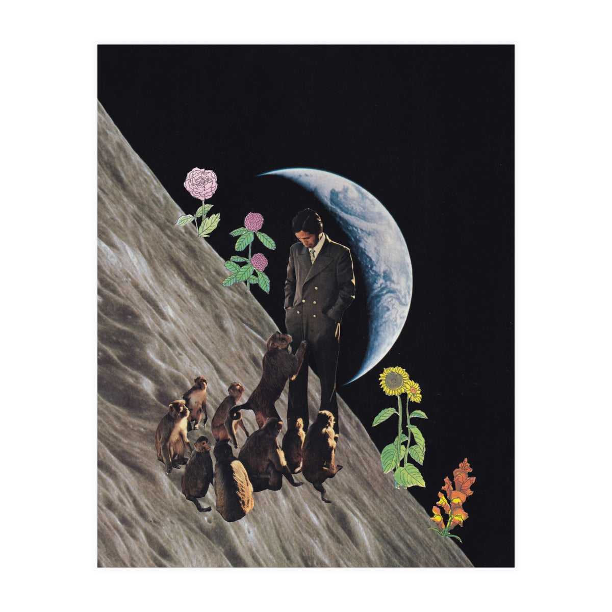 Weird Dream (Print Only)