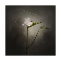 Graceful flower - Freesia | vintage style gold  (Print Only)