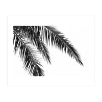 Palm Leaves (Print Only)