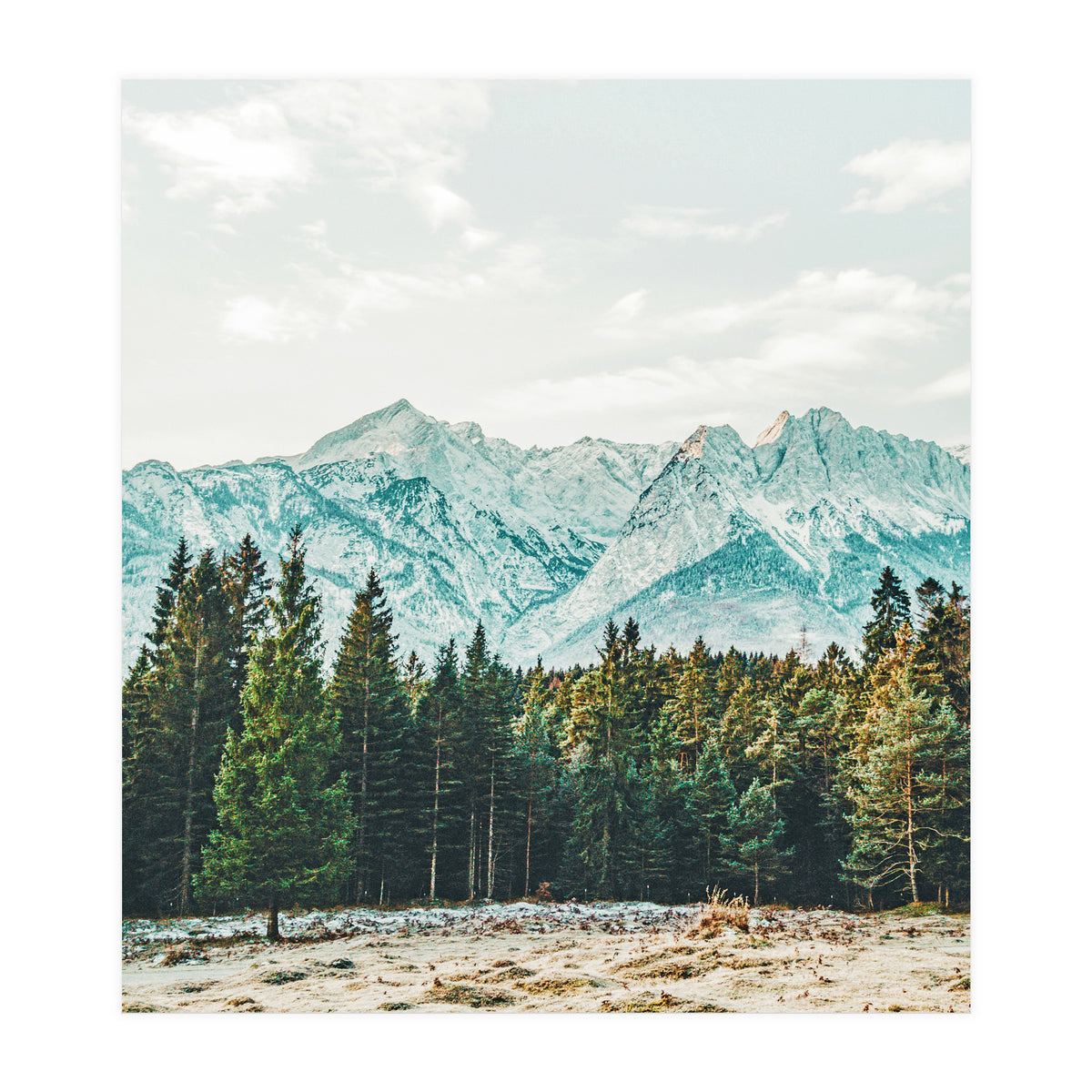 Winter Weather (Print Only)