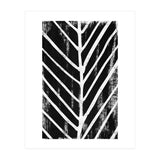 Botanicals Collection No8 (Print Only) thumbnail