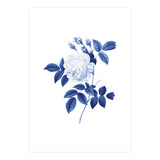Blue Botanic II (Print Only) thumbnail
