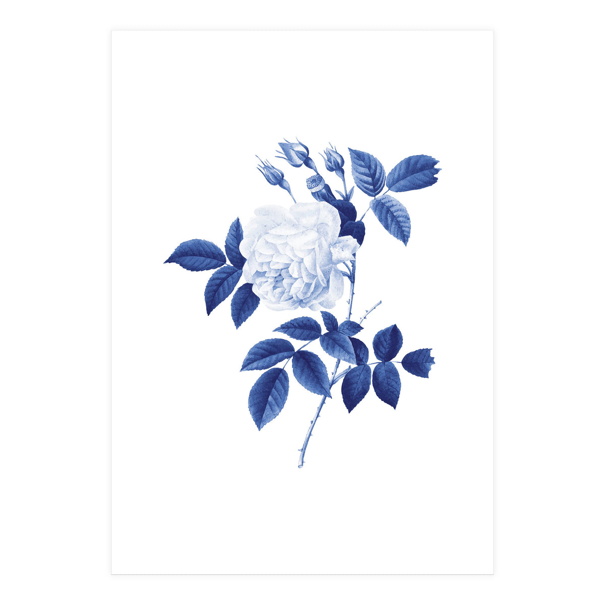 Blue Botanic II (Print Only)