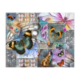 Butterfly Wings Collage (Print Only) thumbnail