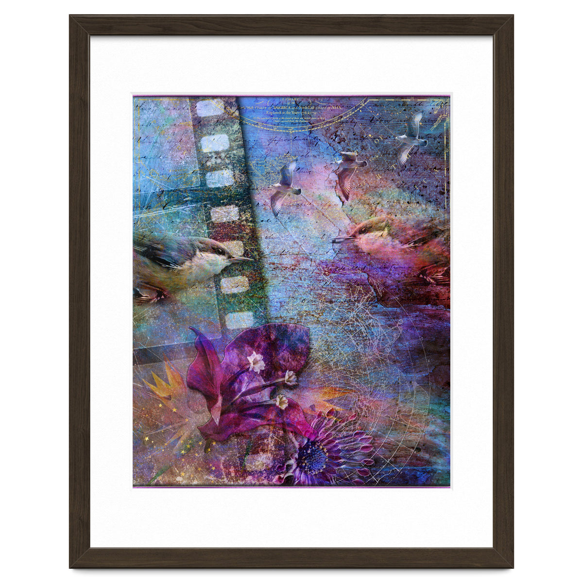 Watching the Wild World