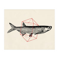Fish In Geometrics II (Print Only)