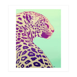 Leopard Under The Sun (Print Only) thumbnail