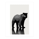 Bear  (Print Only) thumbnail
