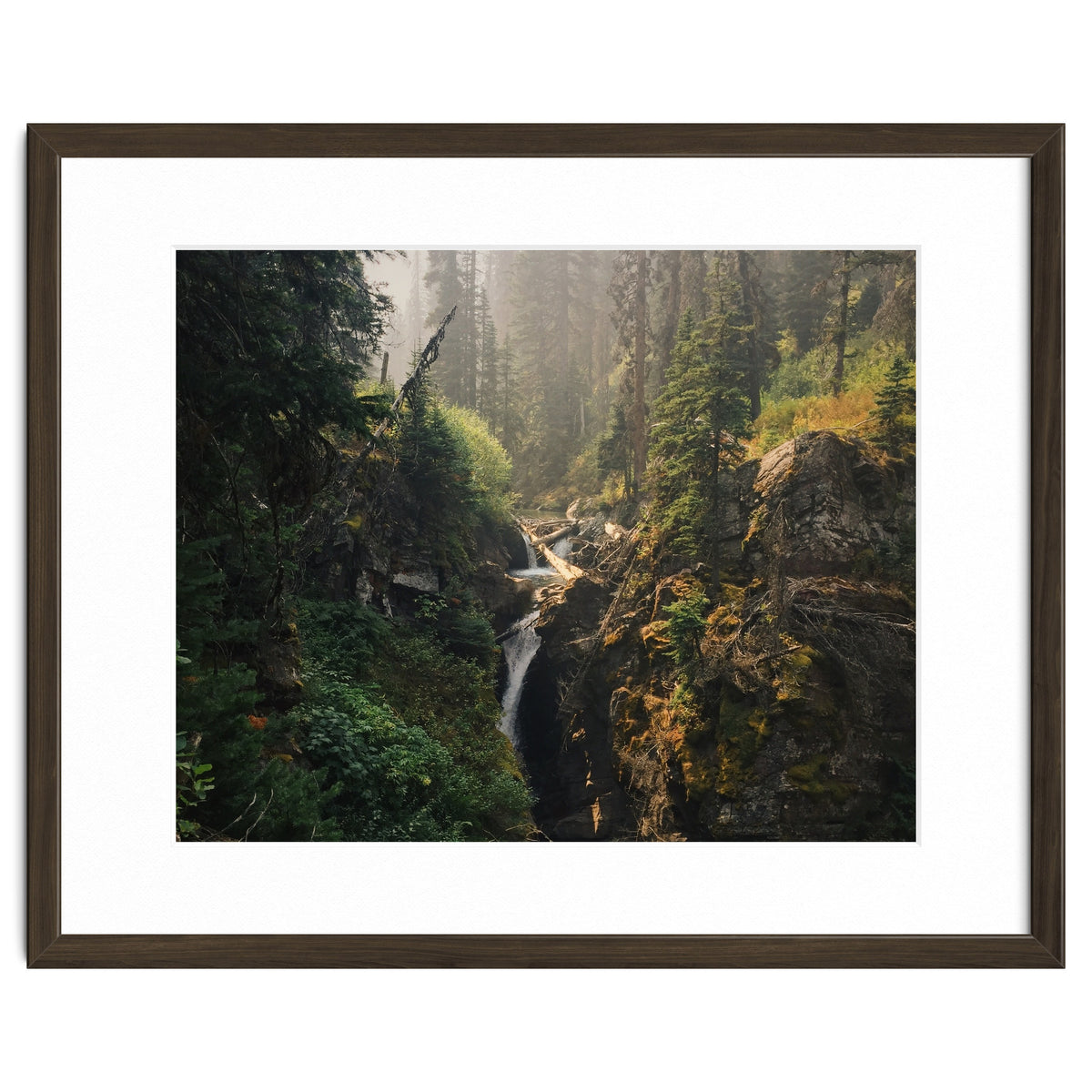 Glacier National Park I