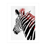Zebra (Print Only) thumbnail