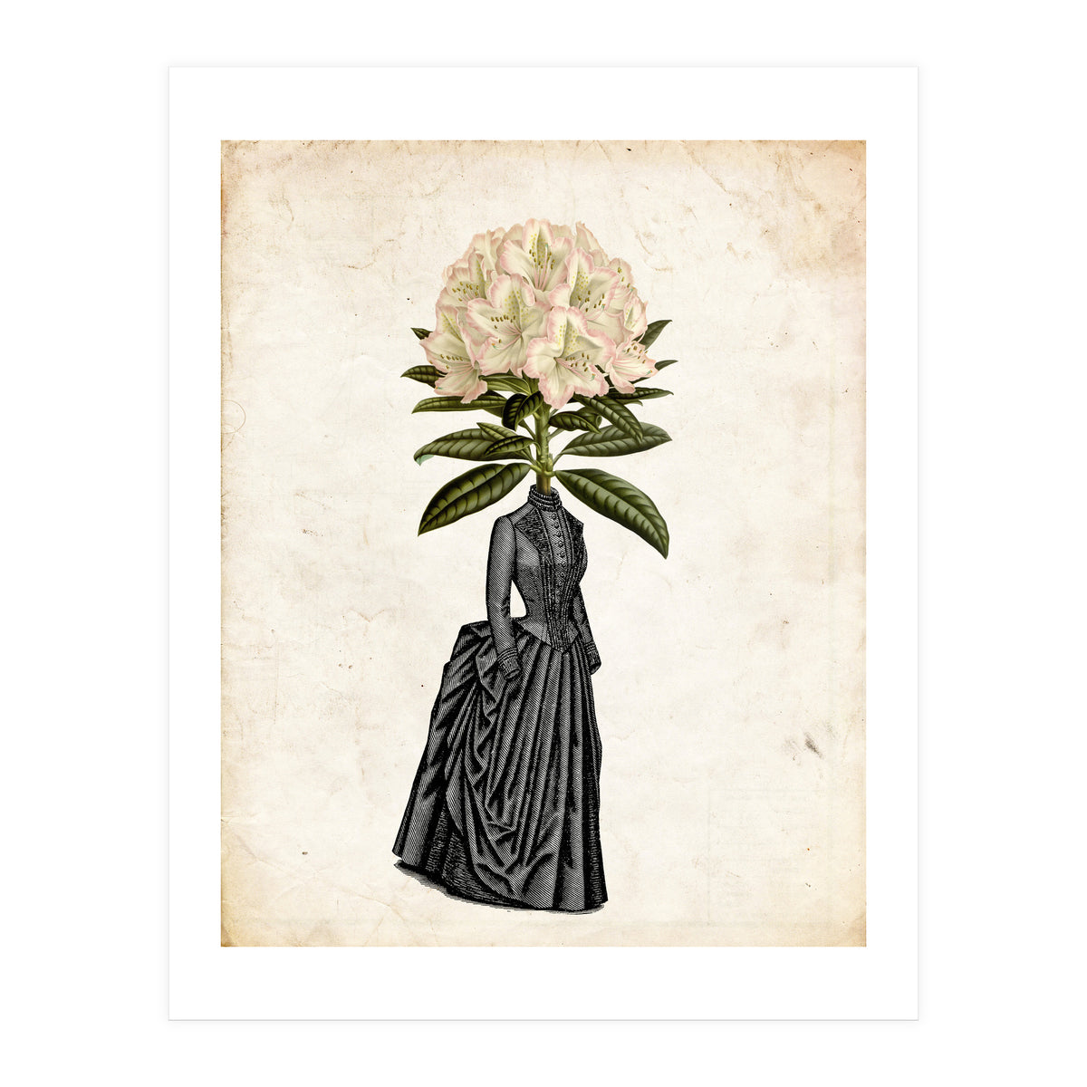woman vintage (Print Only)