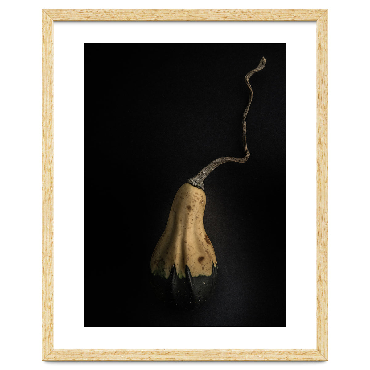 Gourds No 12 Color Version