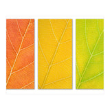 Autumn Leaves (Print Only) thumbnail