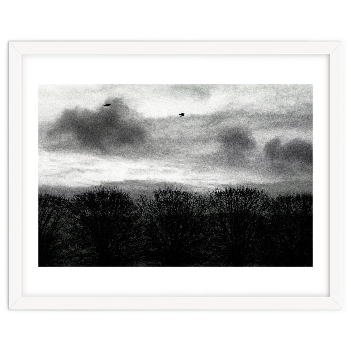 Winter mornig in Paris