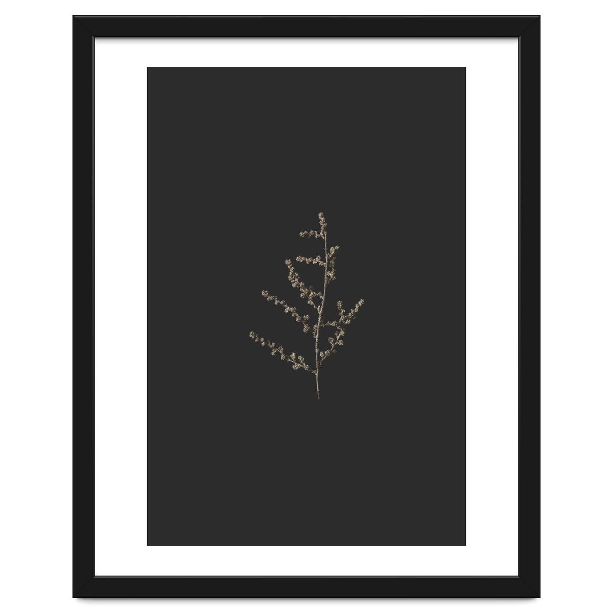 Dainty Botanicals in Gold and Black