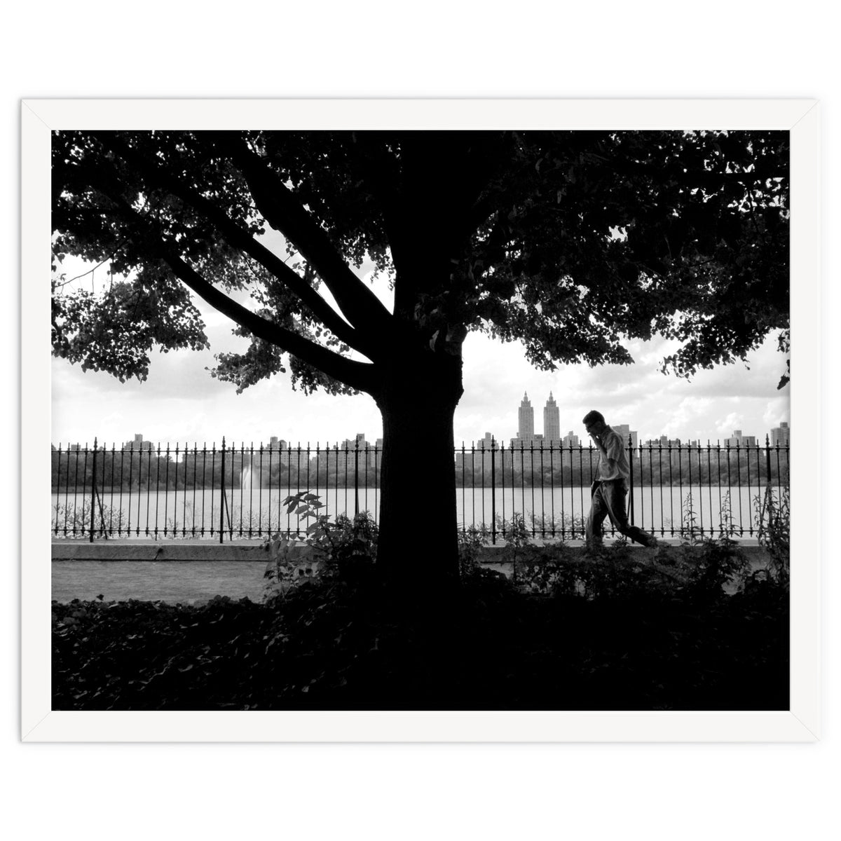 Central Park, New York City