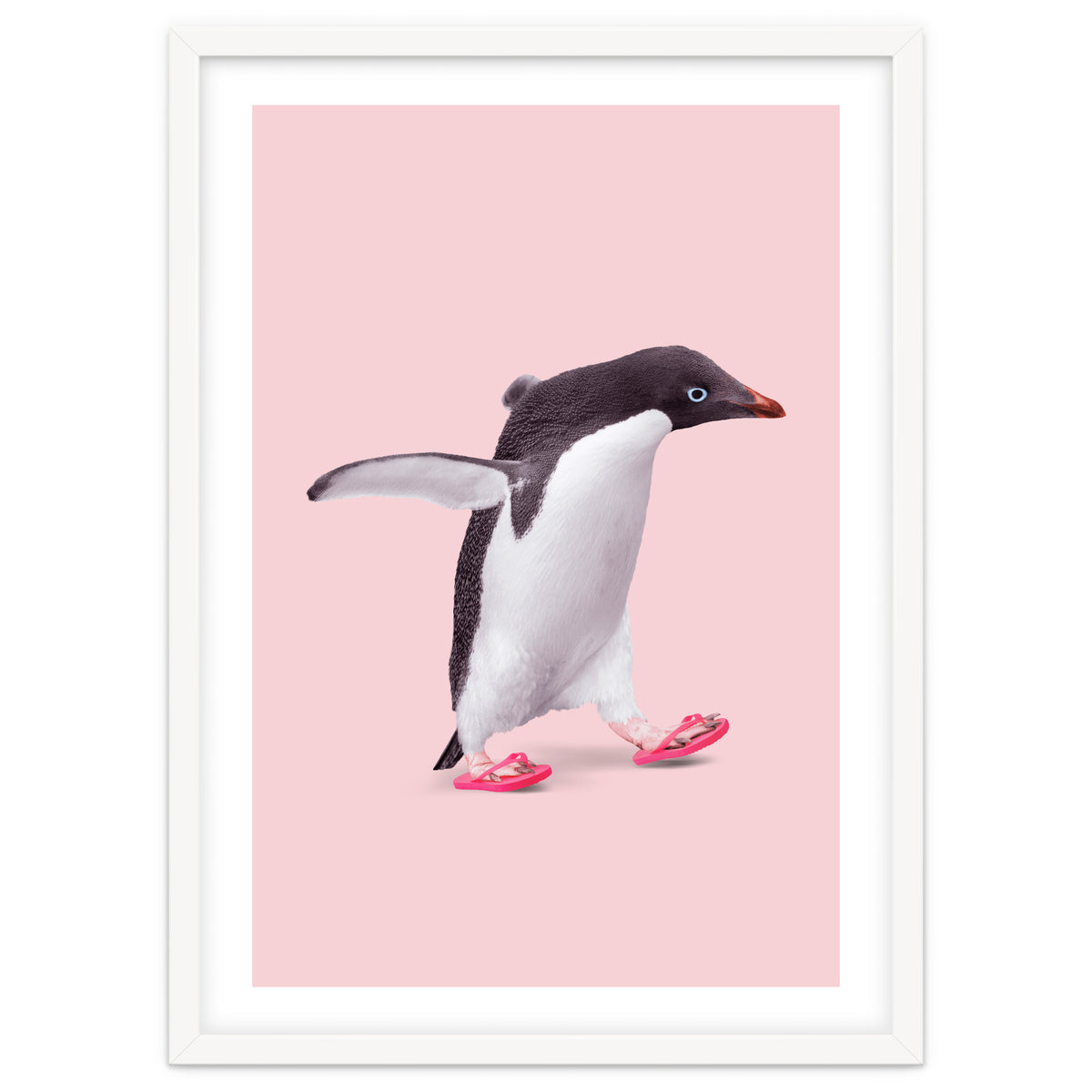 Flip Flop Penguin