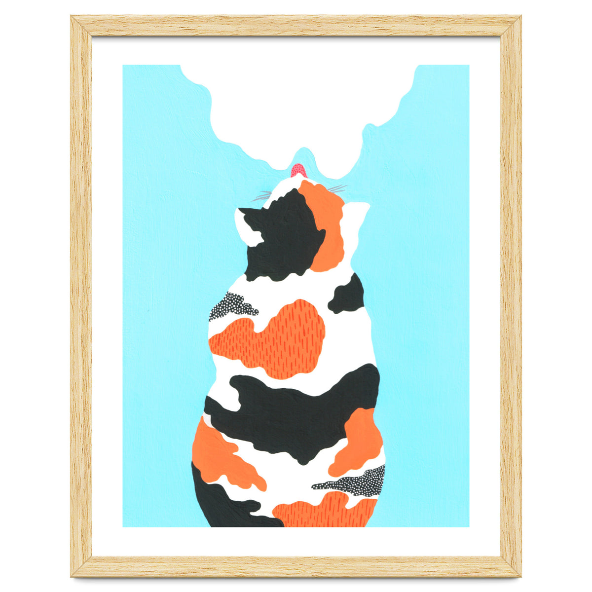 Tri Colored Calico Cat