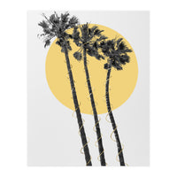 Palm Trees in the sun  (Print Only)