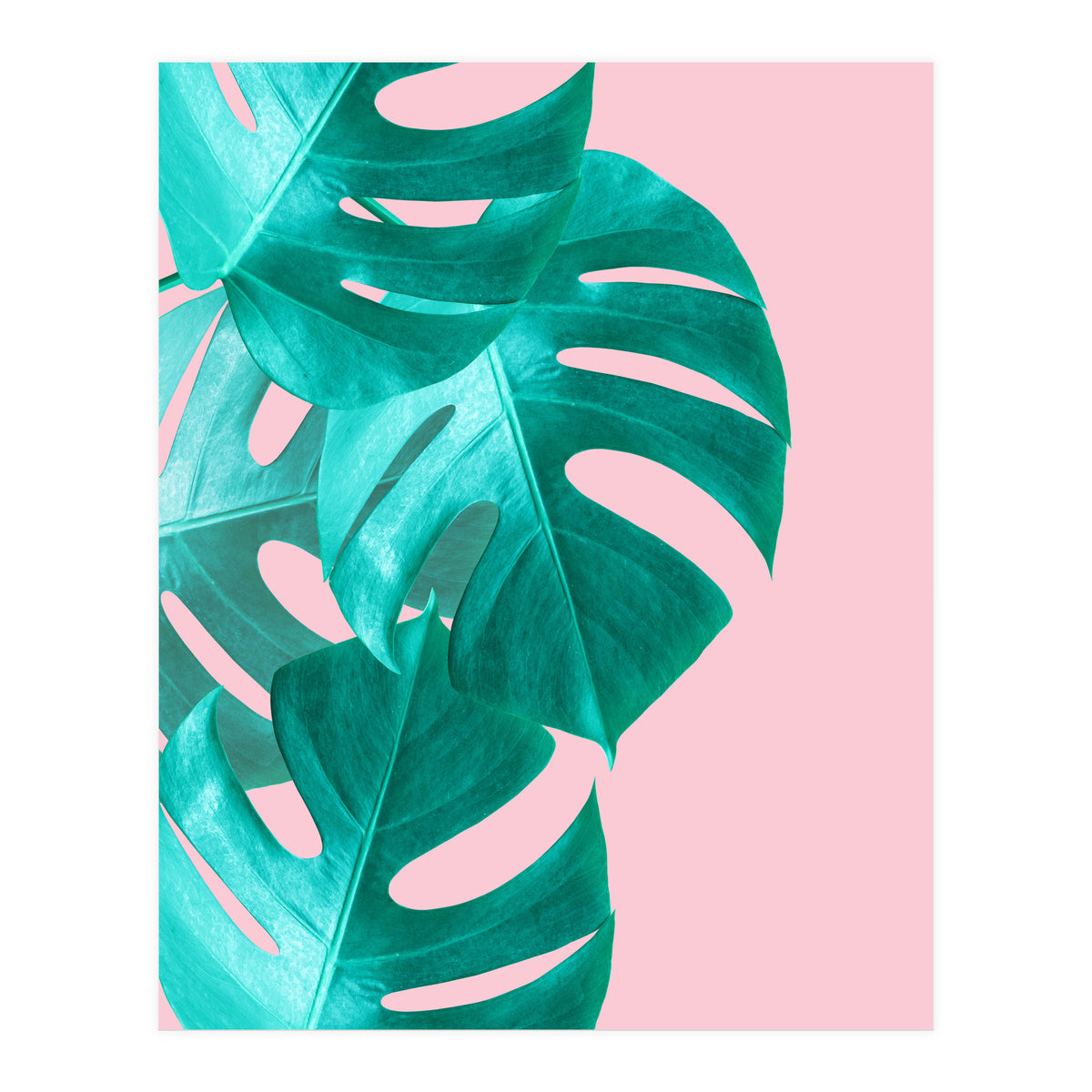 Tropical collage IV (Print Only)