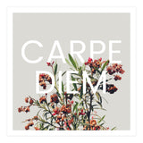 Carpe Diem (Print Only) thumbnail