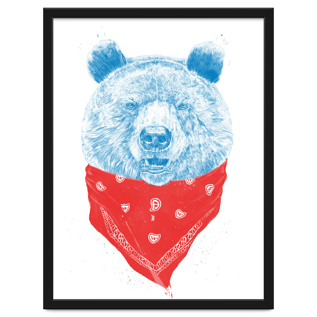 Wild Bear Color Version