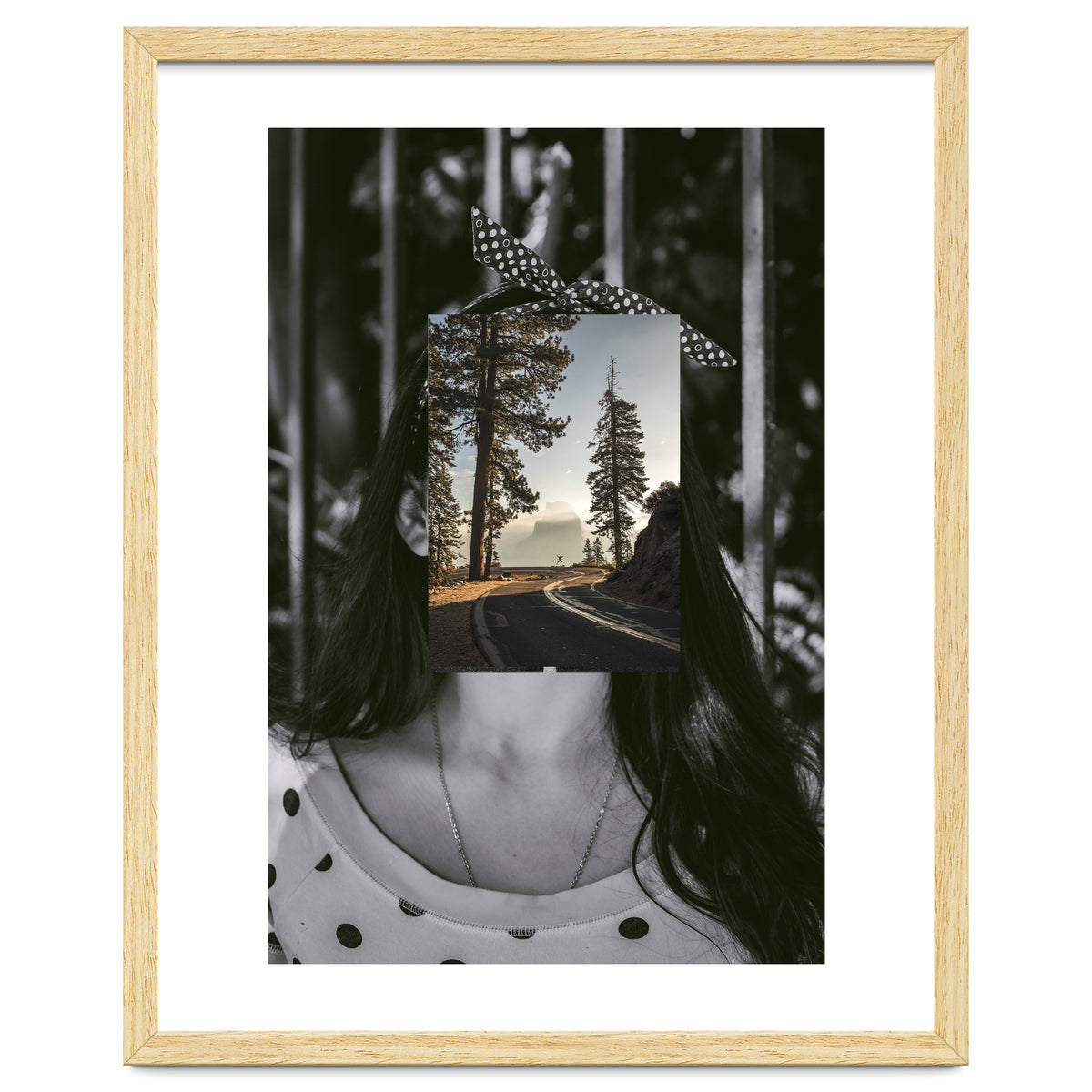 Silva Where Are You?