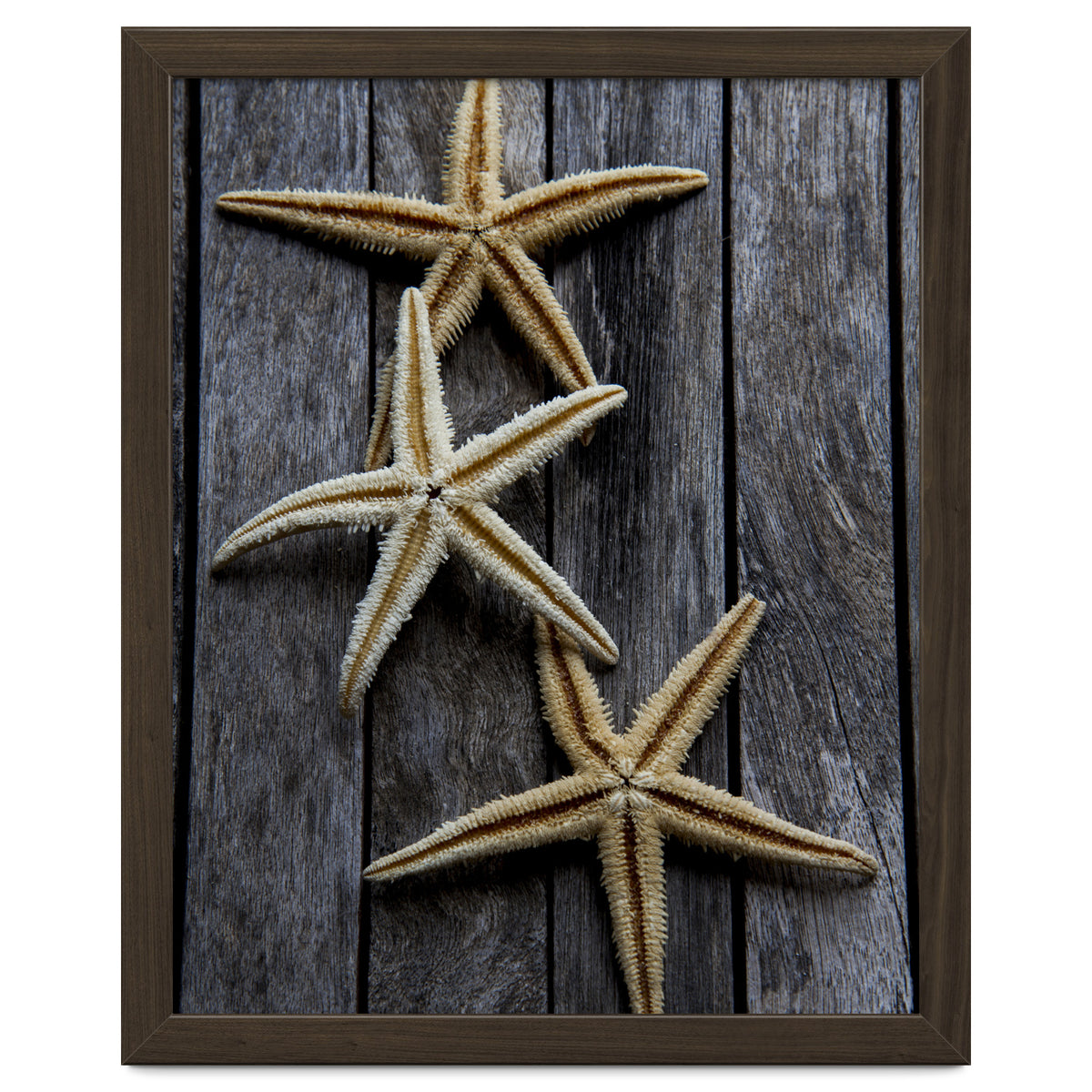 Starfishes in wooden